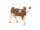 Papo Simmental tehén 51133