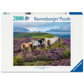 Puzzle 2000 db - Vadlovak a mezőn