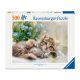 Puzzle 500 db - Cicusok