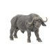 Papo: Afrikai bölény