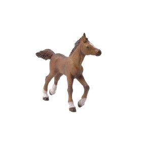 Papo futó barna csikó 51076