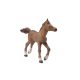 Papo futó barna csikó 51076