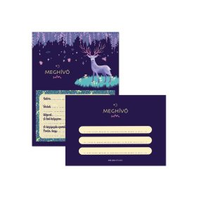 Parti meghívó borítékkal - többféle