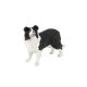 Papo Border Collie kutya 54008