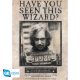 Harry Potter maxi poszter 91,5x61cm Wanted Sirius Black