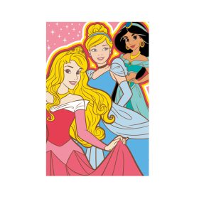 Disney Hercegnők polár takaró - 100 x 150 cm - 1 