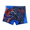 Pókember web swing 4 részes strand szett (tornazsák+baseball sapka+fürdőboxer+úszószemüveg) 5-6 éves korig