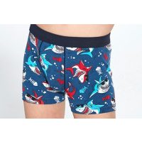 Fiú alsó, boxeralsó