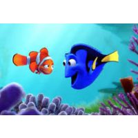 Disney Szenilla nyomában